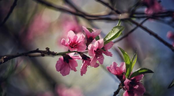 prognoza meteo pentru peroada 2 15 aprilie cum va fi vremea de pasti