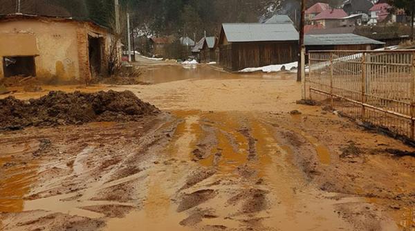 remin amendata pentru dezastrul ecologic de pe valea lapusului