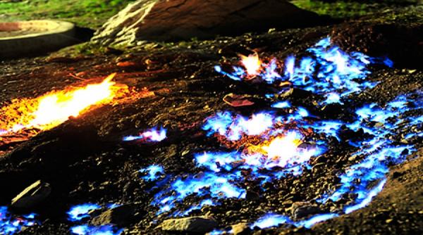 baraganul si povestile comorilor blestemate