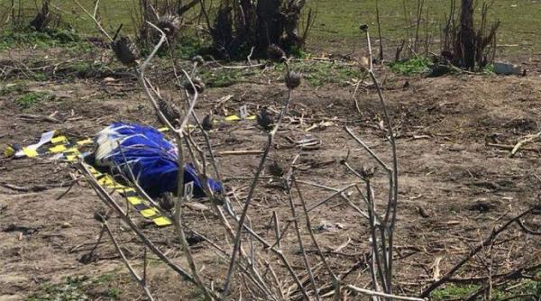 incident dramatic la constanta un copil si a pierdut viata dupa ce a fost lovit de un cal