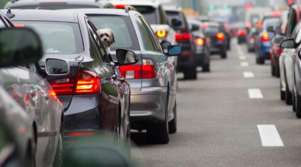 trafic de cosmar pe dn 1 ploiesti brasov