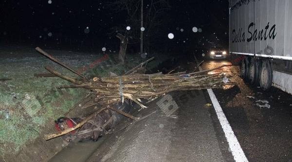 un tir a lovit o caruta calul a fost salvat