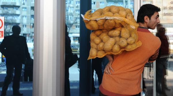 1100 tone de cartofi din egipt nu mai pot intra pe piata din romania din cauza unei bacterii periculoase