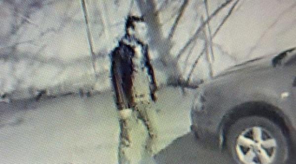 ministrul carmen dan ii recompenseaza pe politistii cu rol definitoriu in prinderea piromanului din capitala