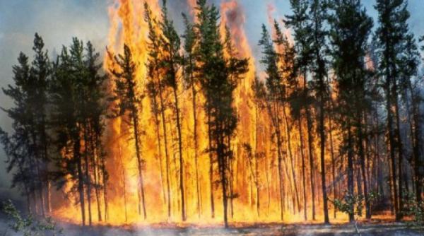 un incendiu de padure a impus declansarea codului portocaliu in partea de vest a mexicului