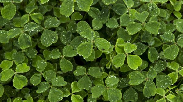 horoscop mai 2018 trei zodii vor avea parte de surprize financiare