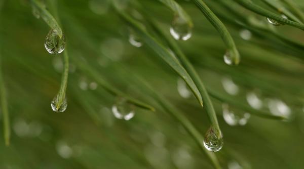 prognoza meteo 15 16 si 17 aprilie 2018 dupa caldura vin ploile