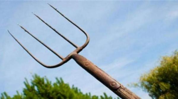 caz socant in vaslui un tanar se afla in coma dupa ce un consatean i a infipt furca in ochi