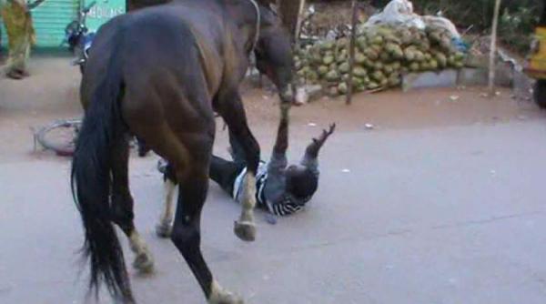 socant un barbat care isi batea calul a ajuns in stare grava la spital dupa ce animalul l a lovit cu copita in fata