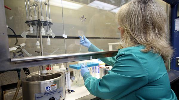 inspectorii oiac vor putea intra in douma potrivit oficialilor rusi