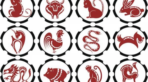 numere norocoase zodiac chinezesc sunt numerele tale