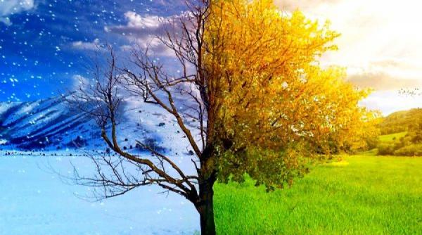 cele mai bune remedii naturale pentru combaterea asteniei de primavara