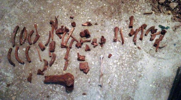 mai multe oase au fost gasite in baia unei garsoniere din gorj ce spun anchetatorii