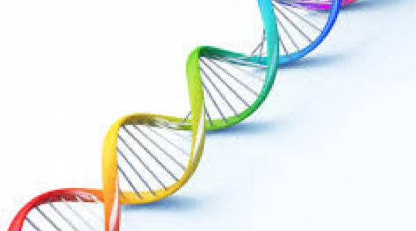 15 lucruri surprinzatoare adn