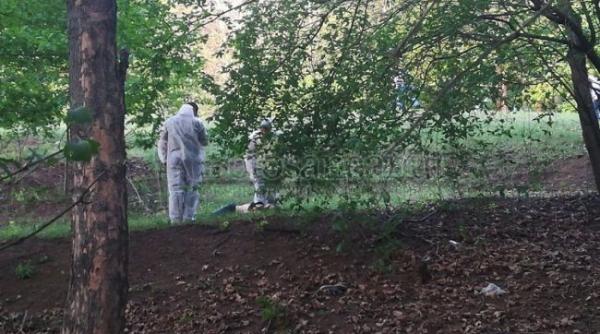 cadavrul injunghiat al unei fetite descoperit de un botosanean care isi plimba cainele