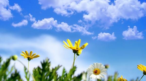 prognoza meteo pentru 26 27 si 28 aprilie vreme calda