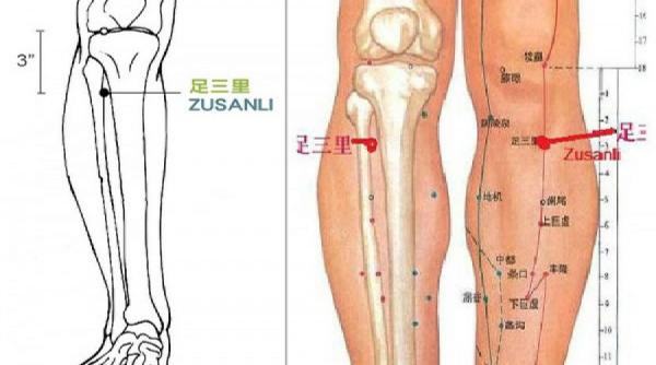 terapii japoneze pentru longevitate punctul celor 100 de boli si efectele sale incredibile asupra sanatatii