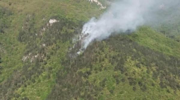 incendiu violent in parcul national domogled valea cernei