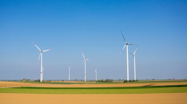 maculatura pentru regenerabile si eoliene transformate in cladiri