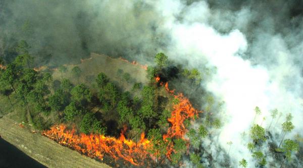 pentru stingerea incendiului din domogled pompierii actioneaza pentru a treia zi consecutiv