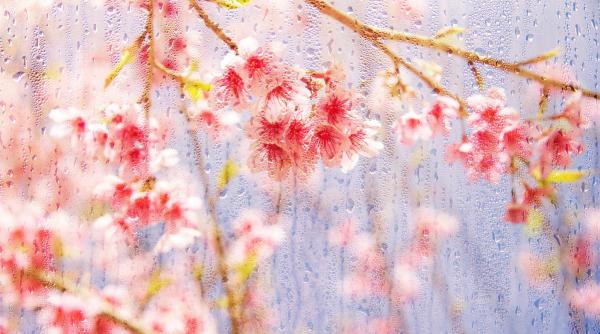 prognoza meteo pentru inceputul saptamanii cum va fi vremea la mare si la munte in minivacanta de 1 mai