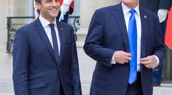 puietul de stejar plantat de trump si macron a fost plasat in carantina