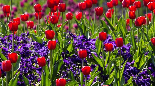 prognoza meteo pentru 2 3 4 si 5 mai cer senin