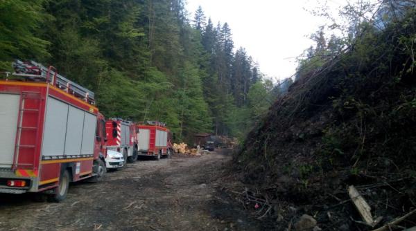 interventie dificila pentru pompierii mureseni intr o padure din valea salardului