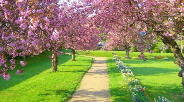 prognoza meteo pentru 3 4 5 si 6 mai soare