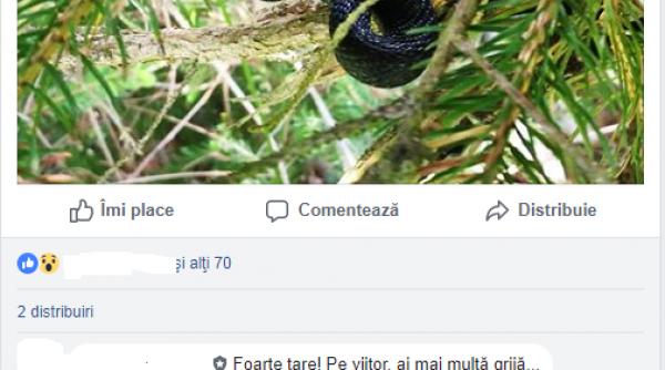 ultima moda sa tragi vipera de coada ca sa dea bine in pozele de pe facebook