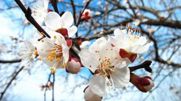 prognoza meteo pentru 4 5 6 si 7 mai cer senin