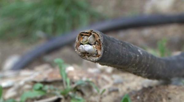 tragedie la brasov o fetita de doi ani a murit prin electrocutare in timp ce se juca in curtea casei