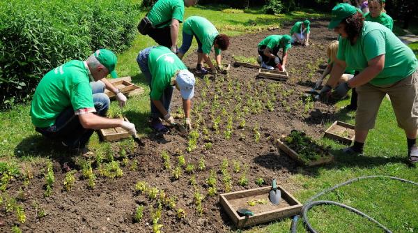 5 fosti angajati ai primariei sectorului 1 urmariti penal pentru un prejudiciu de peste 8 milioane de lei