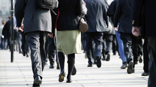 mii de angajari la stat peste 2000 de posturi de conducere vacante scoase la concurs