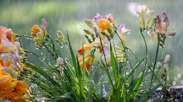 prognoza meteo pentru 8 9 10 si 11 mai precipitatii