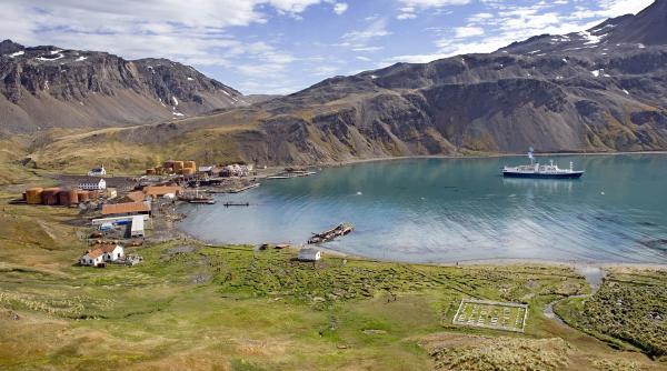 insula georgia de sud eliberata de rozatoare pentru prima data in ultimii 200 de ani