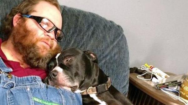 un caine si a impuscat stapanul pare inceputul unui banc dar nu este