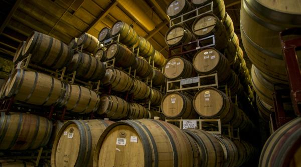 povestea lui bachus la cramele romanesti