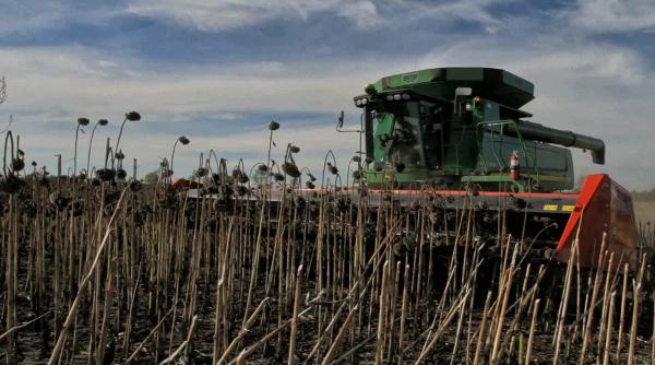 industria uleiului o poveste cu fabrici inchise