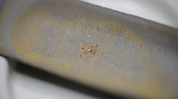 bacteria care transforma metalele toxice in aur