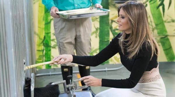 sua melania trump operata pentru o problema la rinichi