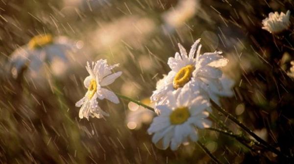 prognoza meteo pentru 17 18 19 si 20 mai cer noros