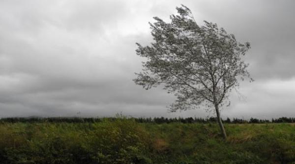 anm judetele arad mehedinti si dolj sub avertizare cod galben de vreme instabila