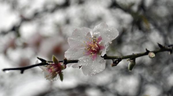 prognoza meteo pentru 18 19 20 si 21 mai ploi slabe