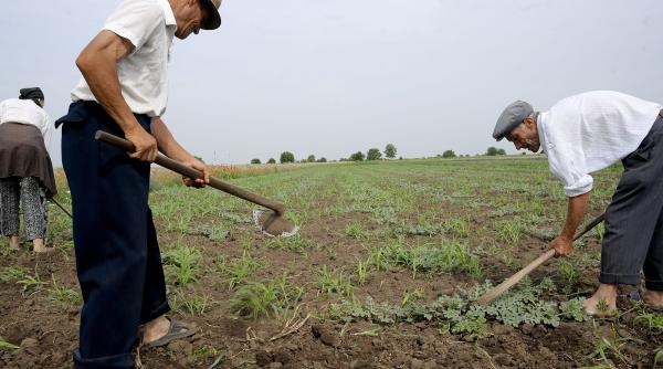 fermieri seculari bani pentru agricultori de 100 de ani