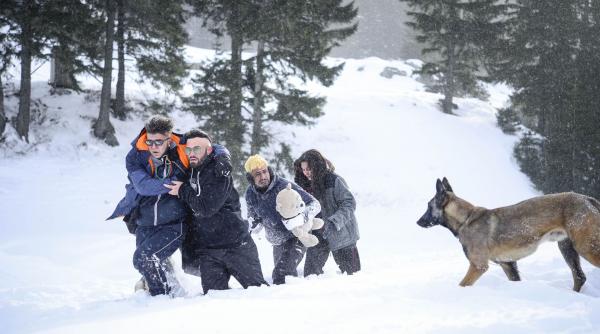 anca dinicu cred ca acest serial are efect terapeutic