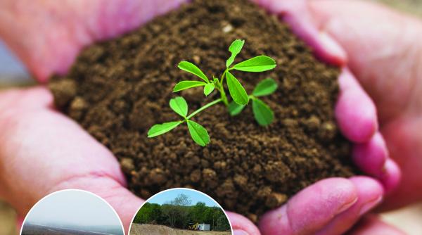 eco sud sa investitie de 1 5 milioane de euro la craiova