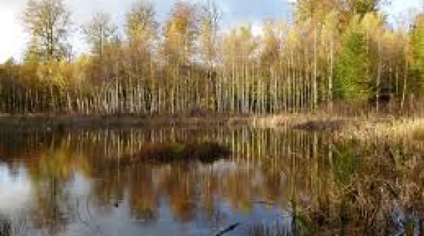 oseminte descoperite in danemarca marturie a unei batalii misterioase din urma cu 2 000 de ani