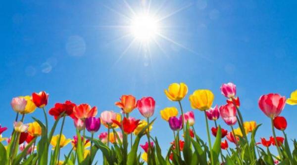 prognoza meteo pentru perioada urmatoare cum va fi vremea de rusalii