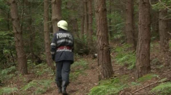 un batran care a plecat la cules de ciuperci este cautat de salvamontisti in masivul valcan